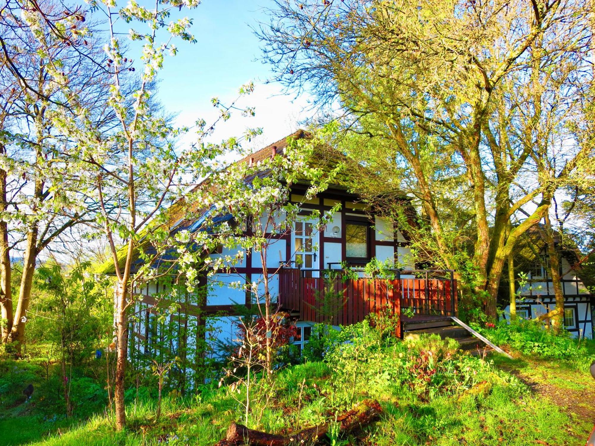 Natururlaub Frankenau Exterior photo